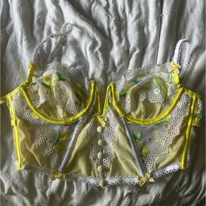 For love and lemons lemon corset top